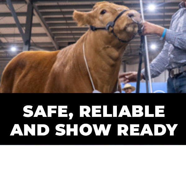 Showground Flooring for Safe Livestock Events