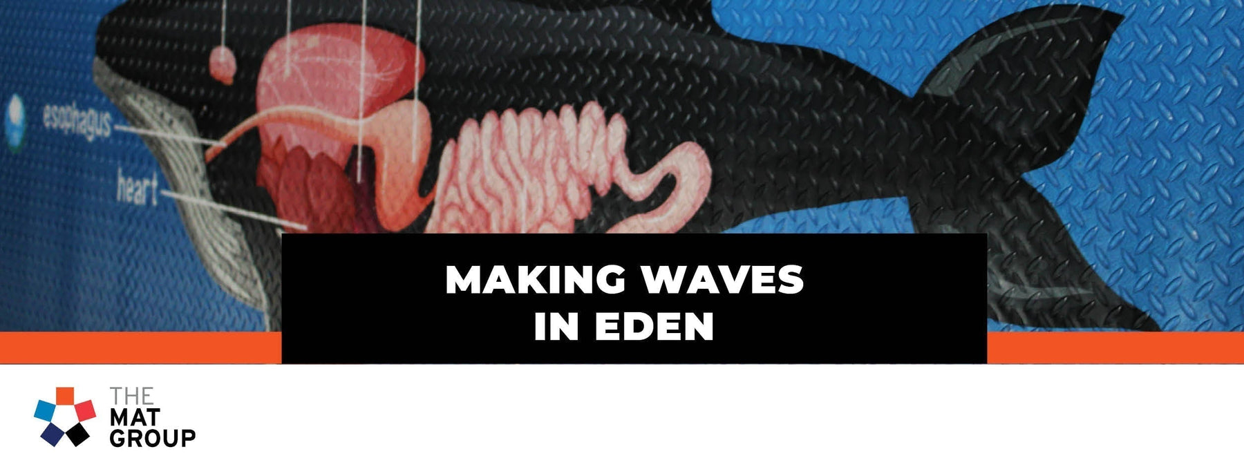 How Custom Printed Mats Brought Eden Killer Whale Museum's Exhibition to Life