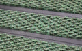Close up image of American Green Superguard inserts in Black ARCHIMAT aluminium architectural matting