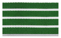 Full product image of Kelly Green Superguard inserts in Silver ARCHIMAT aluminium architectural matting - Made to Measure