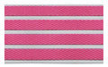 Full product image of Pink Superguard inserts in Silver ARCHIMAT aluminium architectural matting - Made to Measure