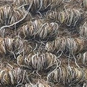 Superguard Natural Beige carpet swatch